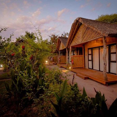 African Excursions Guest House Khwai Ngoại thất bức ảnh