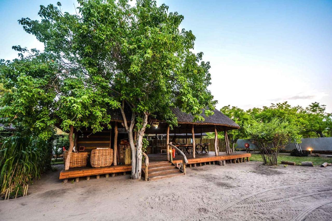 African Excursions Guest House Khwai Ngoại thất bức ảnh