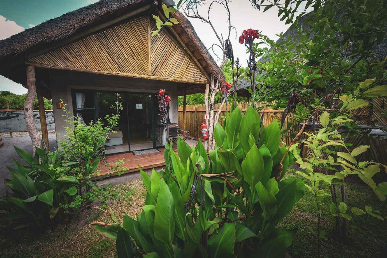 African Excursions Guest House Khwai Ngoại thất bức ảnh