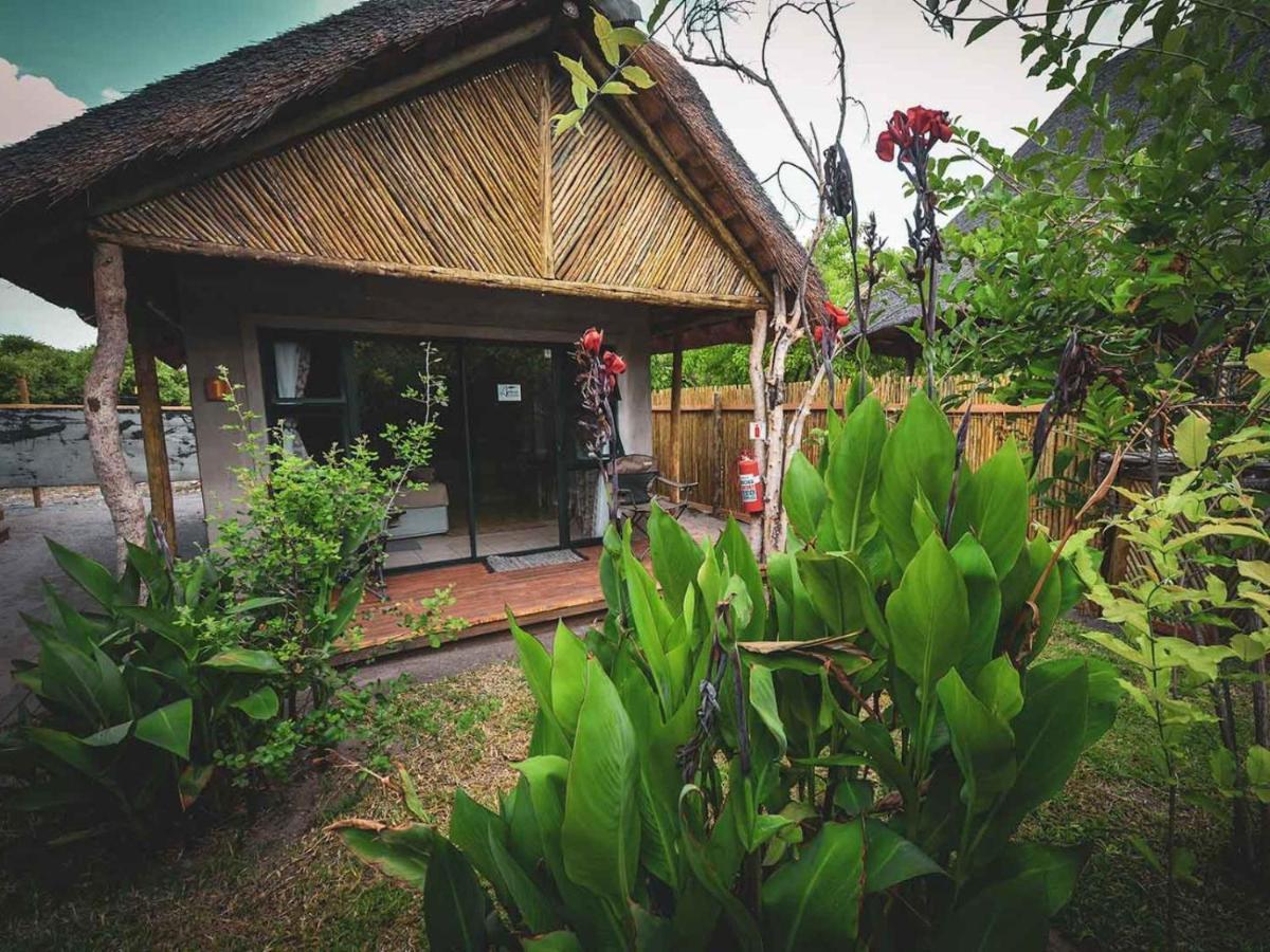 African Excursions Guest House Khwai Ngoại thất bức ảnh